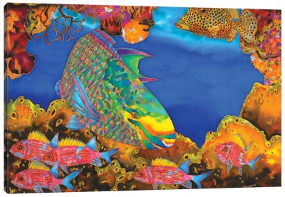 Jade Mountain Parrotfish Canvas Art Print - Daniel Jean-Baptiste