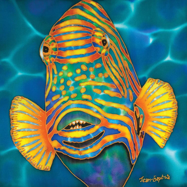 Orange Striped Triggerfish