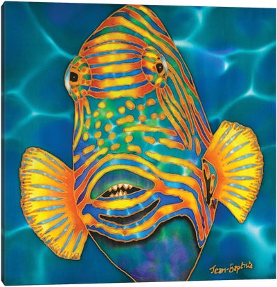 Orange Striped Triggerfish Canvas Art Print - Daniel Jean-Baptiste
