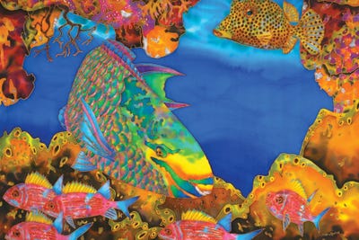 Queen Parrotfish by Daniel Jean-Baptiste canvas print