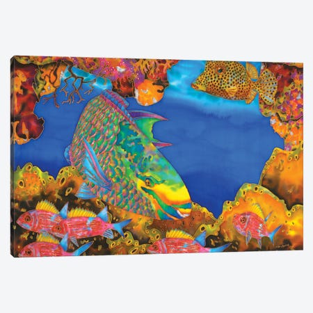Queen Parrotfish Canvas Print #JBT83} by Daniel Jean-Baptiste Art Print