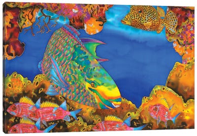 Queen Parrotfish Canvas Art Print - Daniel Jean-Baptiste