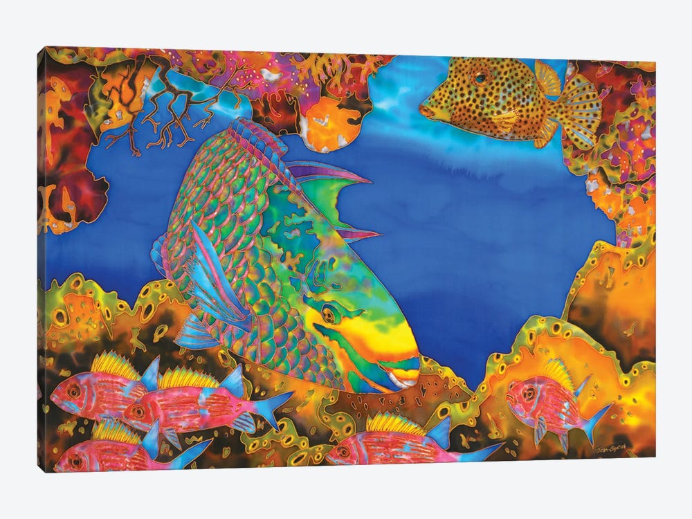 Queen Parrotfish by Daniel Jean-Baptiste 1-piece Canvas Artwork