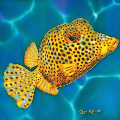 Spotted Trunkfish by Daniel Jean-Baptiste canvas print