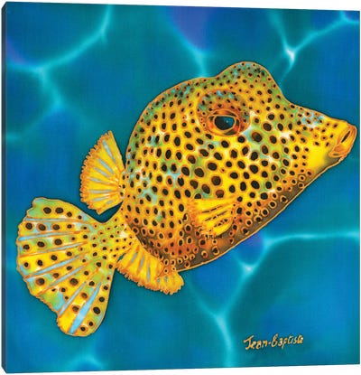 Spotted Trunkfish Canvas Art Print - Daniel Jean-Baptiste
