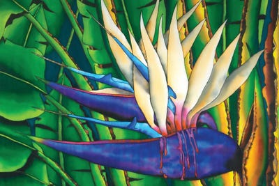 White Bird Of Paradise by Daniel Jean-Baptiste canvas print
