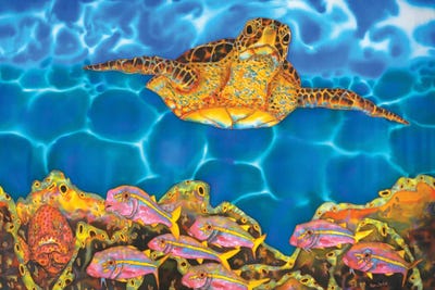 St. Lucian Sea Turtle by Daniel Jean-Baptiste canvas print