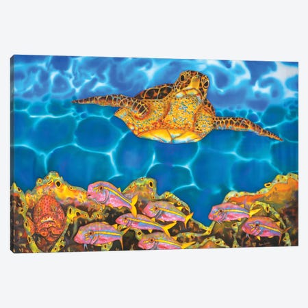 St. Lucian Sea Turtle Canvas Print #JBT91} by Daniel Jean-Baptiste Canvas Art