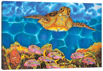 St. Lucian Sea Turtle Canvas Art Print - Daniel Jean-Baptiste