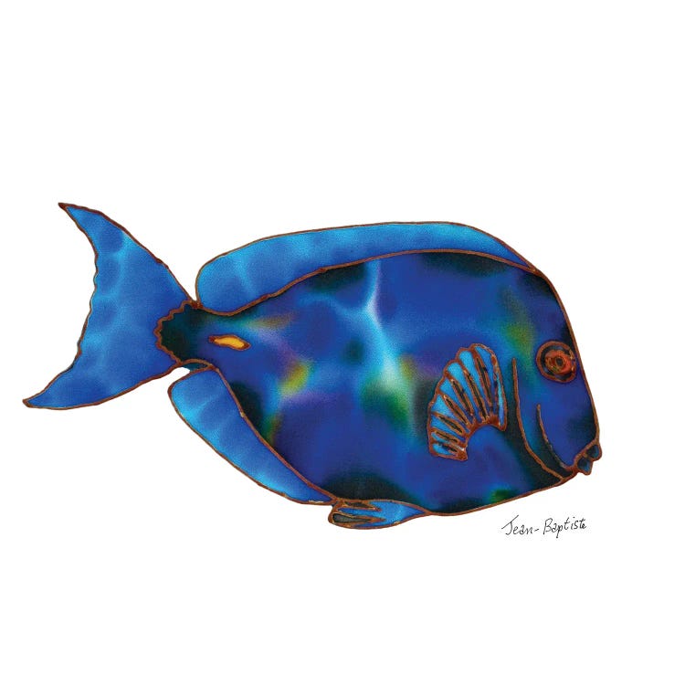 Blue Tang In White Background