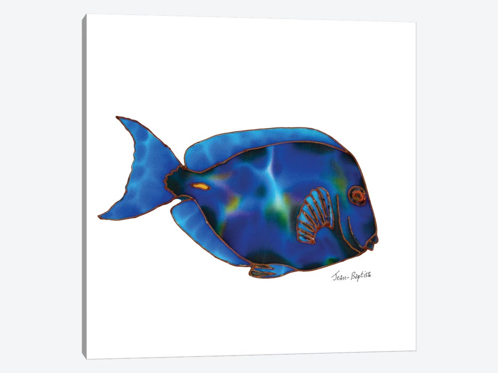 Blue Tang In White Background by Daniel Jean-Baptiste 1-piece Canvas Wall Art