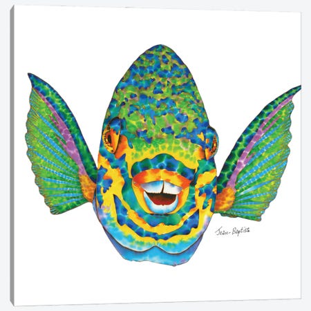 Parrotfish In White Background Canvas Print #JBT94} by Daniel Jean-Baptiste Art Print