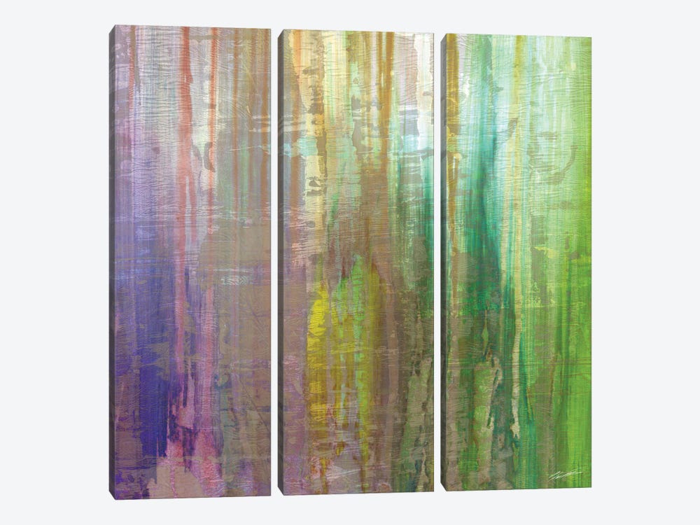 Rushes IV by John Butler 3-piece Canvas Wall Art