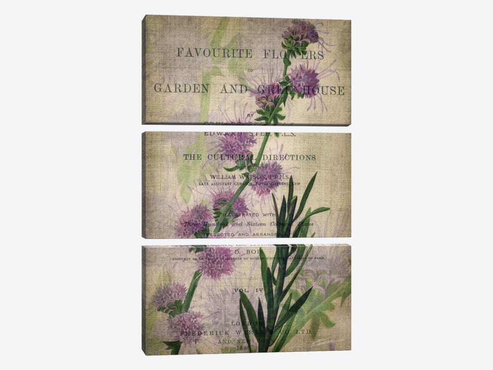 Favorite Flowers I by John Butler 3-piece Canvas Print