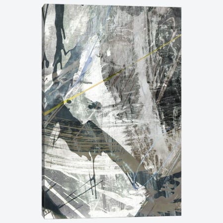 White Noise I Canvas Print #JBU23} by John Butler Canvas Art