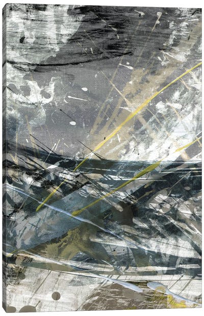 White Noise II Canvas Art Print - John Butler