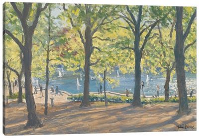Central Park, New York, 2010 Canvas Art Print