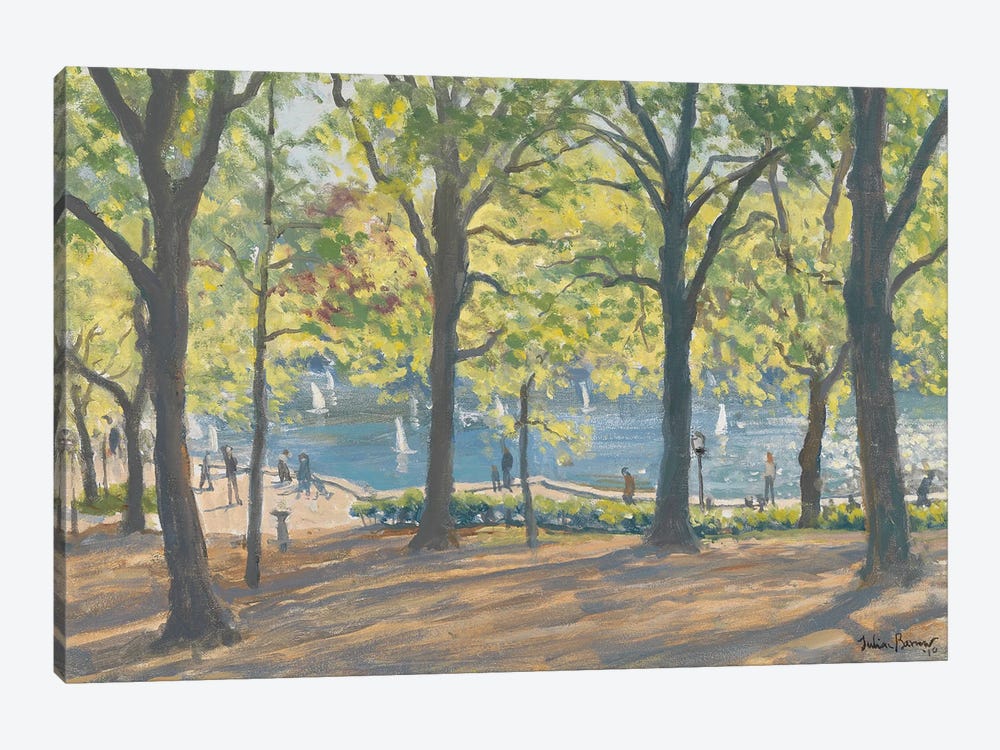 Central Park, New York, 2010 by Julian Barrow 1-piece Canvas Art Print