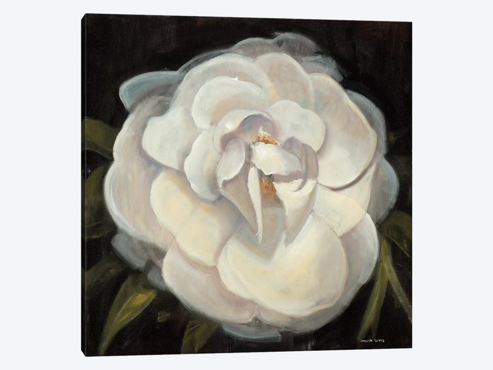 Flower II by Joseph Cates 1-piece Canvas Artwork