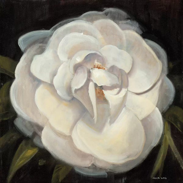 Black & White Florals: Flower II by Joseph Cates