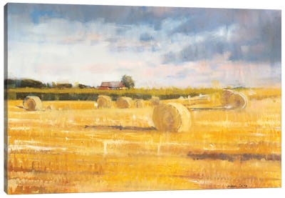 Swedish Field Canvas Art Print