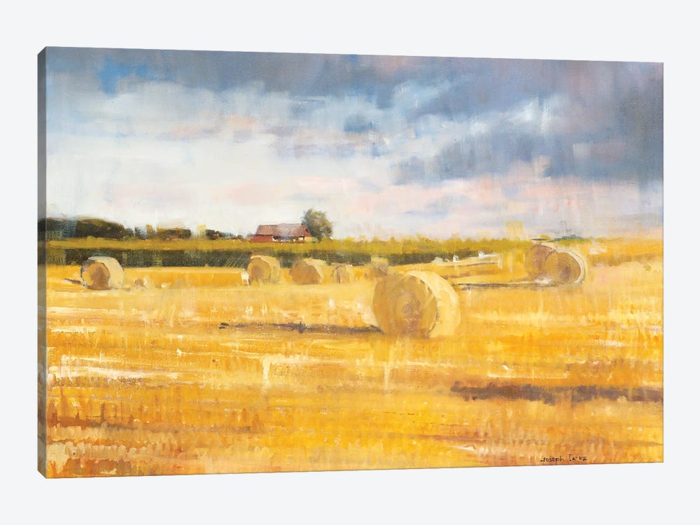 Swedish Field by Joseph Cates 1-piece Canvas Art Print