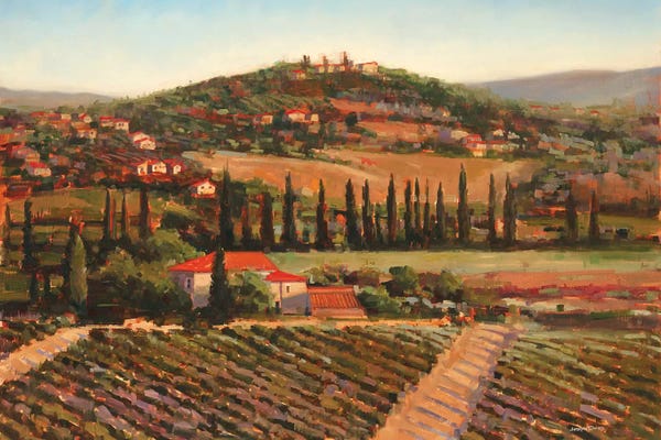 Vineyards: Tuscan Villa by Joseph Cates