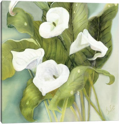 Tropical Callas Canvas Art Print