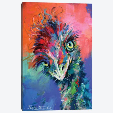 Emu XXX Canvas Print #JCF100} by Jos Coufreur Canvas Artwork