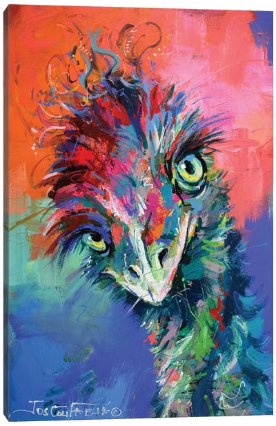 Emu XXX Canvas Art Print - Jos Coufreur