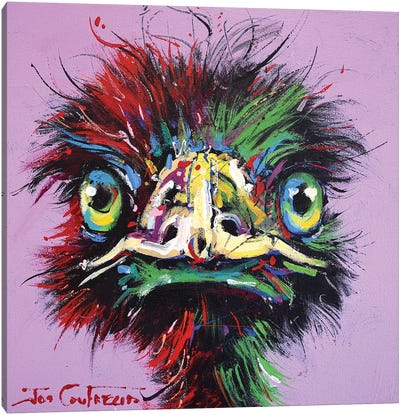 Emu LVIII Canvas Art Print - Jos Coufreur