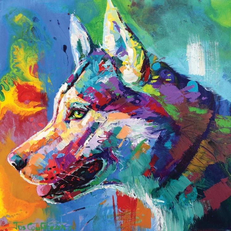 Husky Malamute by Jos Coufreur wall art