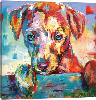 Jack Russell Puppy Looking Over Fence Canvas Art Print - Jos Coufreur