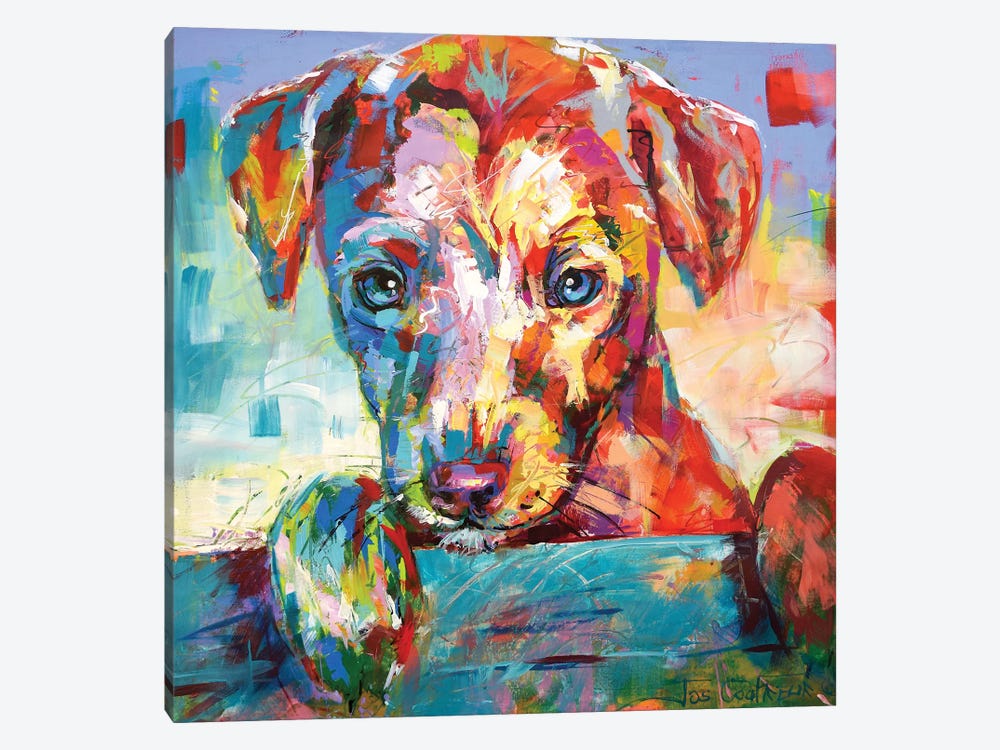 Jack Russell Puppy Looking Over Fence by Jos Coufreur 1-piece Canvas Print