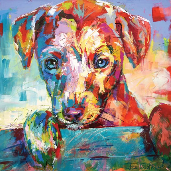 Terriers: Jack Russell Puppy Looking Over Fence by Jos Coufreur