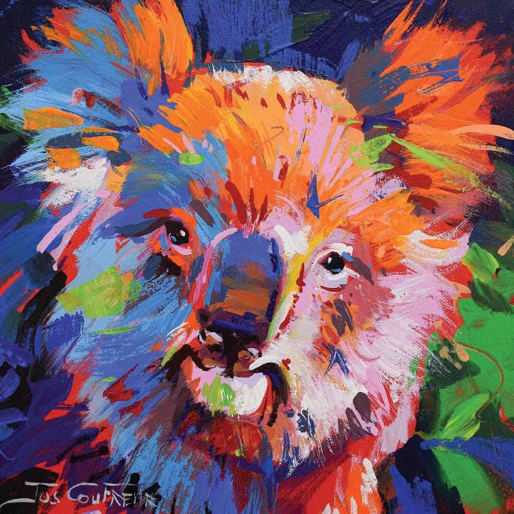 Koala IX by Jos Coufreur wall art