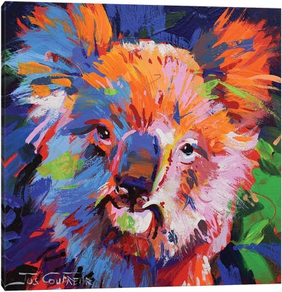 Koala IX Canvas Art Print - Jos Coufreur