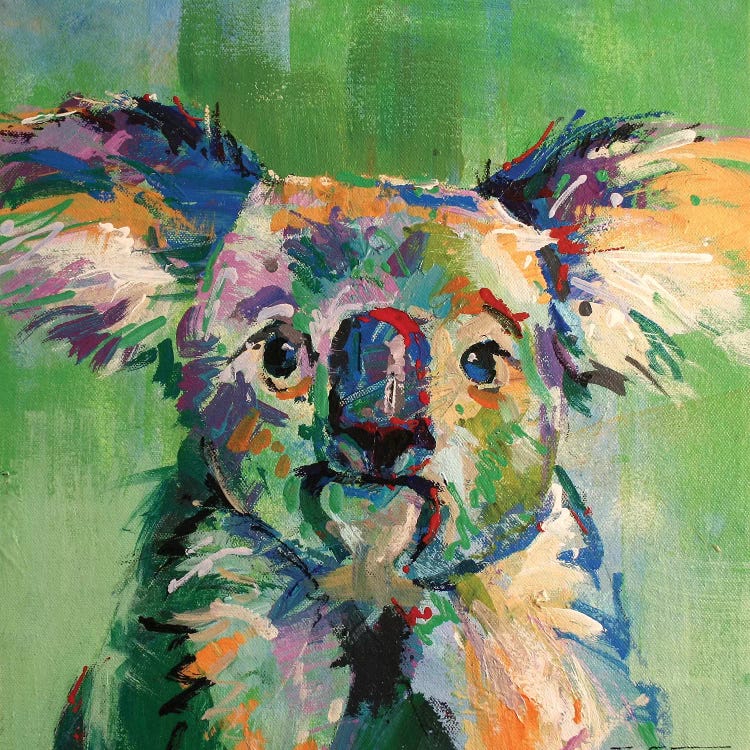 Koala III by Jos Coufreur wall art