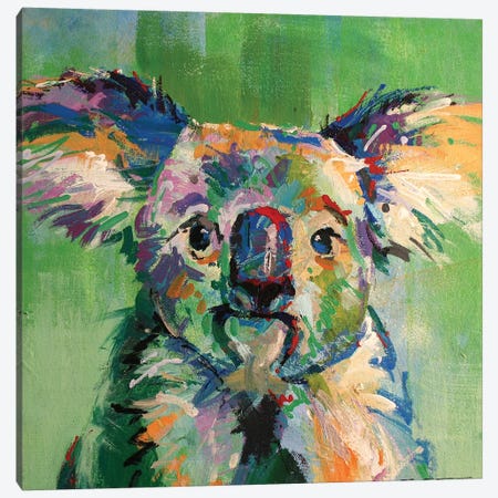 Koala III Canvas Print #JCF106} by Jos Coufreur Canvas Art Print