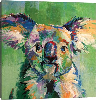 Koala III Canvas Art Print - Jos Coufreur