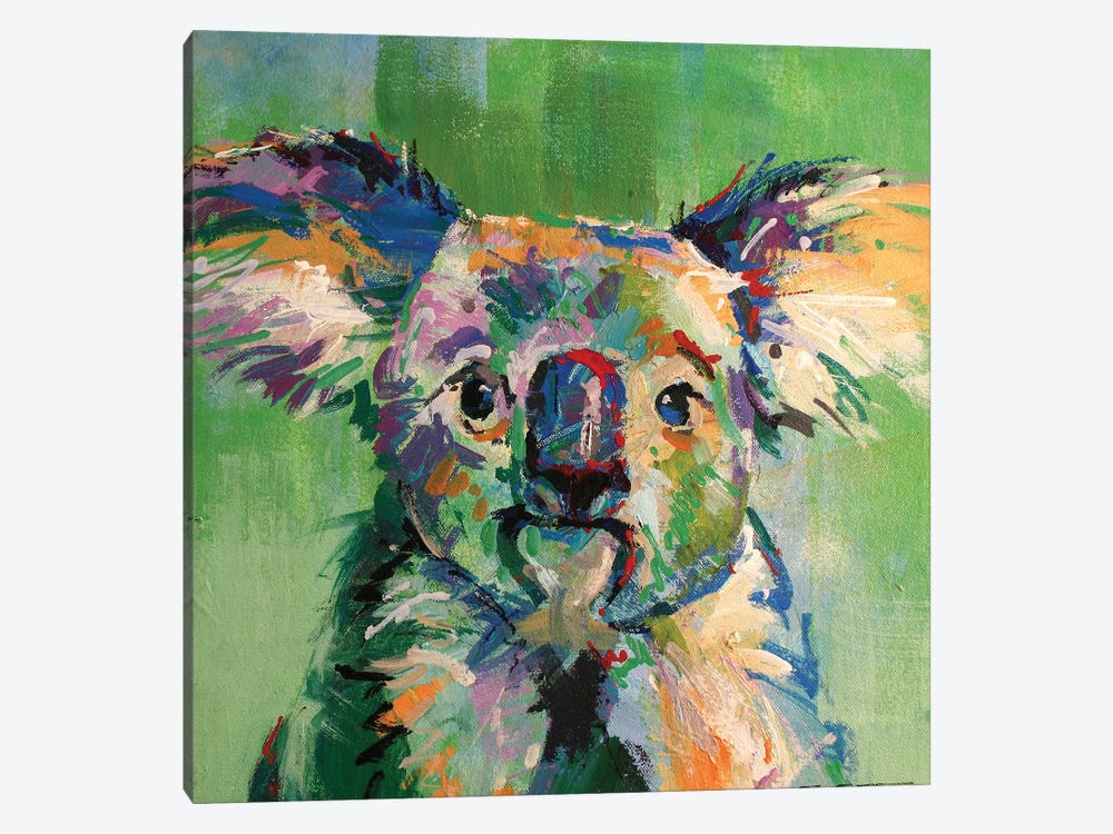 Koala III by Jos Coufreur 1-piece Canvas Wall Art