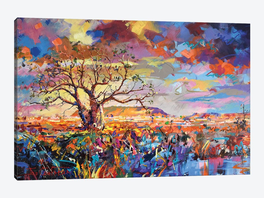 Boab Trees III by Jos Coufreur 1-piece Canvas Art