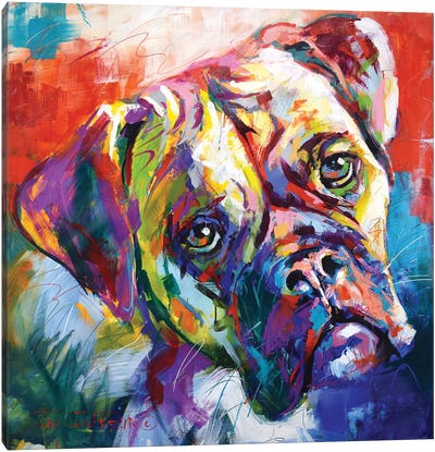 Boxer Canvas Art Print - Best Selling Dog Art