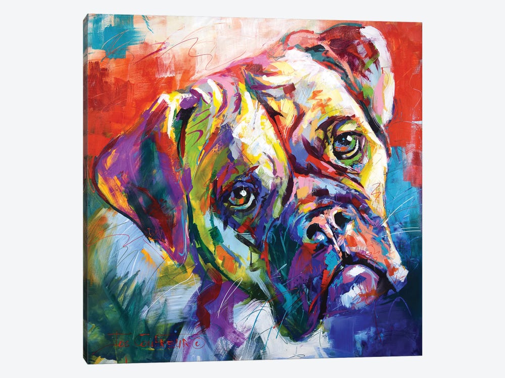Boxer 1-piece Canvas Artwork