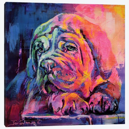 Bull Mastiff Puppy Canvas Print #JCF116} by Jos Coufreur Canvas Artwork