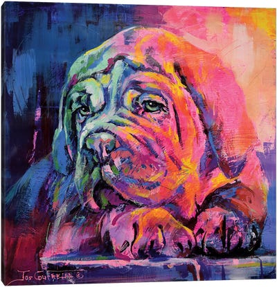 Bull Mastiff Puppy Canvas Art Print - Bullmastiff Art