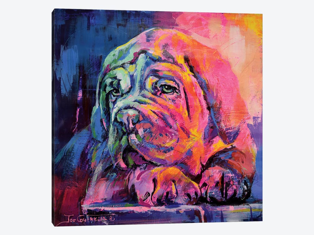 Bull Mastiff Puppy by Jos Coufreur 1-piece Canvas Print