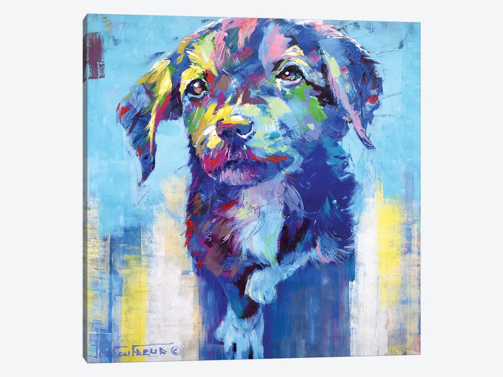 Cute Dog by Jos Coufreur 1-piece Canvas Print