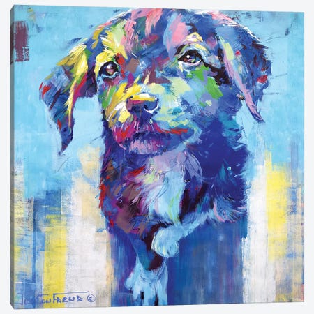 Cute Dog Canvas Print #JCF118} by Jos Coufreur Art Print