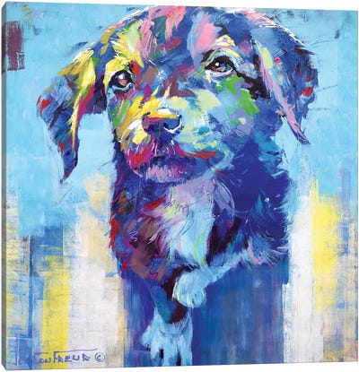 Cute Dog Canvas Art Print - Jos Coufreur